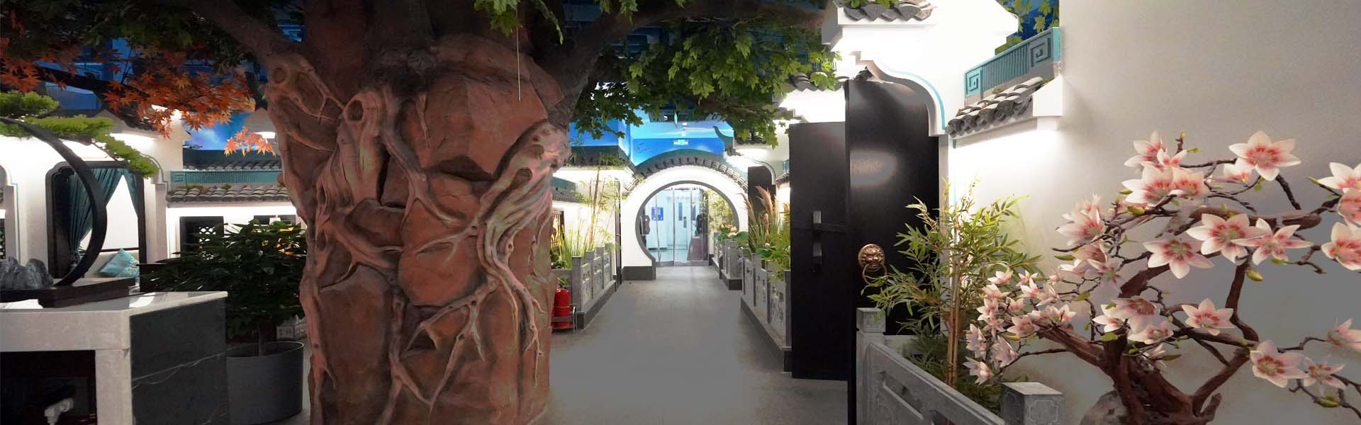 北京植物微景观绿植养护